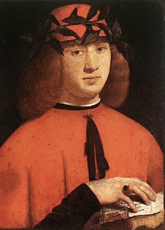 BOLTRAFFIO, Giovanni Antonio Portrait of Gerolamo Casio Sweden oil painting art